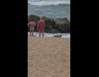 Man jumps from the rock and then poses at the shore