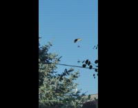 Powered parachute paraglide in the blue sky