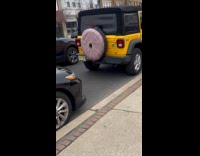 Man sings about tire cover looking like anus