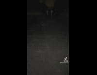 Girl pours water and calls her friends who come running like dogs 