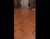 Cat plays fetch with tissue purple rug