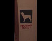 Pet dog rests in a weird position at the couch