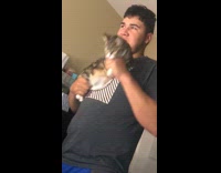 Collab BitchMP - Guy holds cat like gun