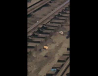 Rat with leftover bread on the railway