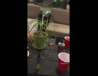 Reverse guy laying on floor in hammock