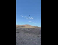 Guy shoots corona beer bottle mid air 