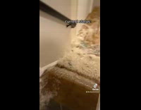 Collab BitchMP - Lower floor of house being flooded by rain hurricane