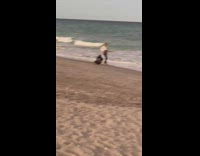 Man white sleeves hold guitar kick beach