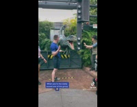 Person runs away from dinosaur 