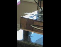 Parakeet bird pokes head out