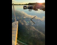 Bubble bounces on the surface of water Part 3