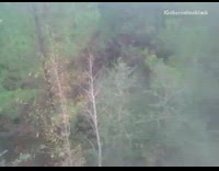 Kid jumps off cliff, crashes into two trees, and falls on the ground