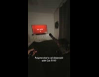 Cat jumps on stand cat TV