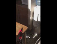 grey cat digs in white box falls off table