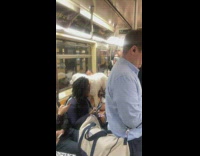 Dog inside the train with the owner rides 