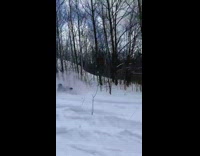 Guy on skis falls and flips over