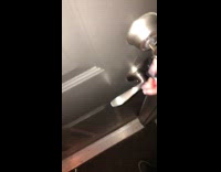 Cat inside of house holding onto lanyard 