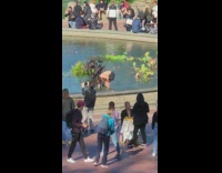 Guy gets the coins thrown in fountain