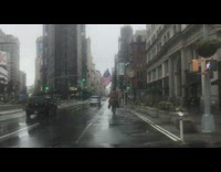 Car view guy brown horse american flag