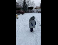 Kid sled face plant on the snow