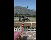 Girl Harley Quinn cosplay horse race track