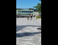 Collab WINY - Man with pointed hat ride skateboard with dog