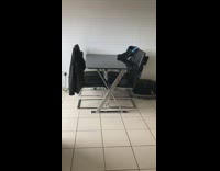 Brown dog running and zooming back and forth between table