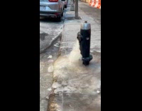 Collab WINY - Black Frozen fire hydrant on street