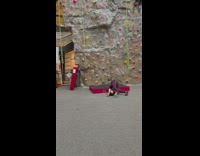 Girl rock climbs falls down on mat
