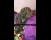 awe his growl is so cute