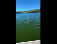 Collab ClipsIG - Woman says water is full of algae