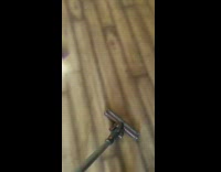 Two dogs chase and bite vacuum cleaner