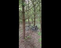 Guy collides into tree on dirt track in mountain