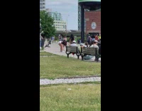Girl checkered pants dance on park railway