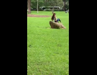 white shirt girl rock park guy narrator 