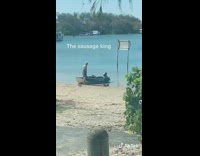 Guy puts dachshund dogs into blue canoe 