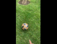 Girl kicks ball at tree comes back hits phone