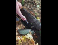 Guy finds hidden weed joint under log