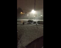 Guy Shoots Roman Candle Towards House and It Explodes