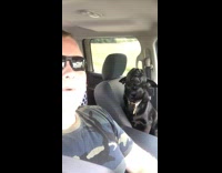 guy camo shirt in car howling with black dog