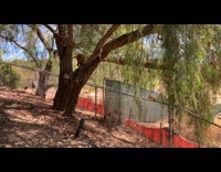 Dog escapes yard jumps to the fence part 2