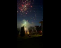 Dog sits at yard enjoys watching fireworks