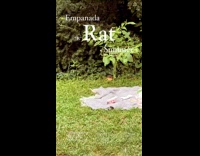 Rat stealing empanada at park