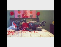 KaleSaladIG - Godzilla dinosaur on bed Valentines day