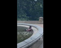 Guy sits inside Bethesda Fountain 