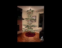 Submitter decorates Christmas tree from the woods