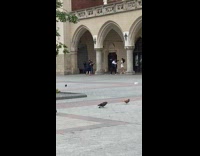 Woman white dress video shoot videographer circle around