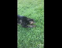 Kat Teague(@katteague) on TikTok “jeesusss” #waittiltheend #didyoukillthat #iwasntready