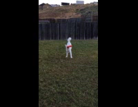 White dog play throw red frisbee backyard