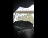 snoring black pug wakes up scared